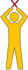 Air Operations Inc logo